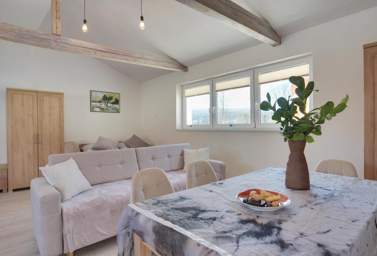 Apartament Sniezna Polana - 2-Pietrowy Apartament Idealny Dla Duzej Rodziny! 스클라르스카포렘바 외부 사진