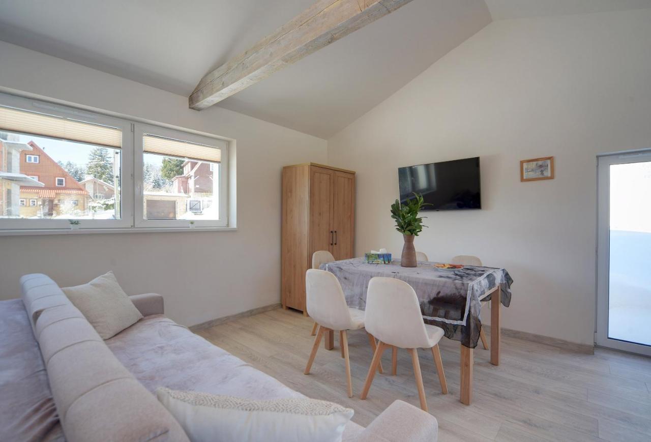 Apartament Sniezna Polana - 2-Pietrowy Apartament Idealny Dla Duzej Rodziny! 스클라르스카포렘바 외부 사진