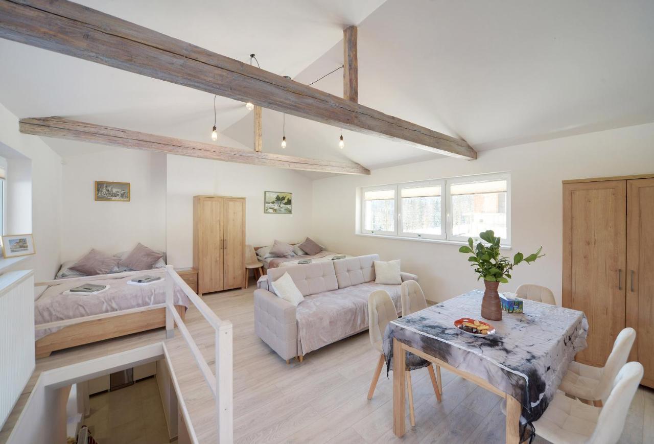 Apartament Sniezna Polana - 2-Pietrowy Apartament Idealny Dla Duzej Rodziny! 스클라르스카포렘바 외부 사진